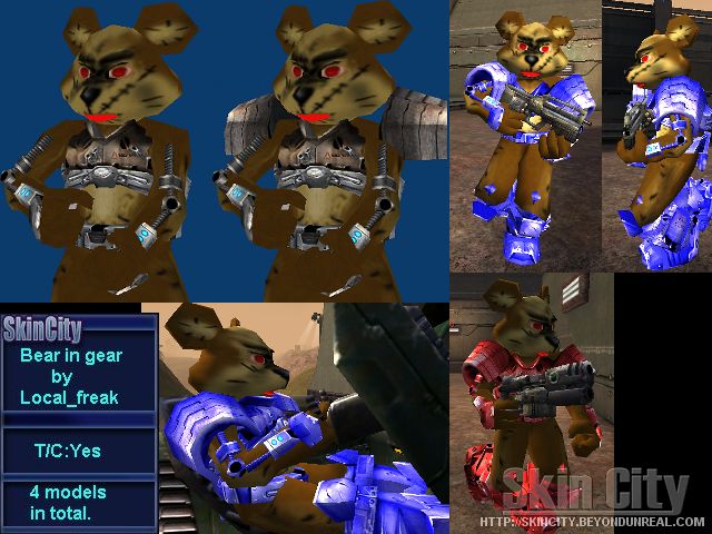 Bear in Gear Bear in Gear