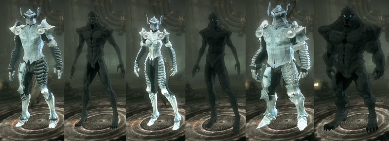 Knight Paladins Knight Paladins