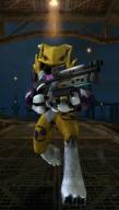 Renamon Renamon