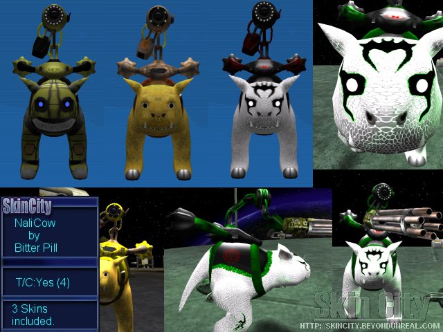 Nali Cows Nali Cows